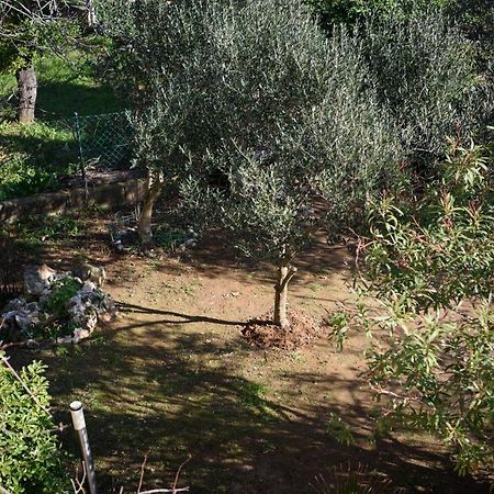 Villa Claudia Beach Apartment Premantura Eksteriør billede