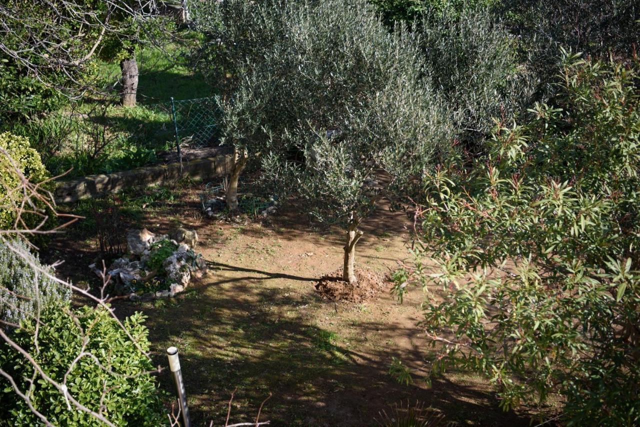 Villa Claudia Beach Apartment Premantura Eksteriør billede